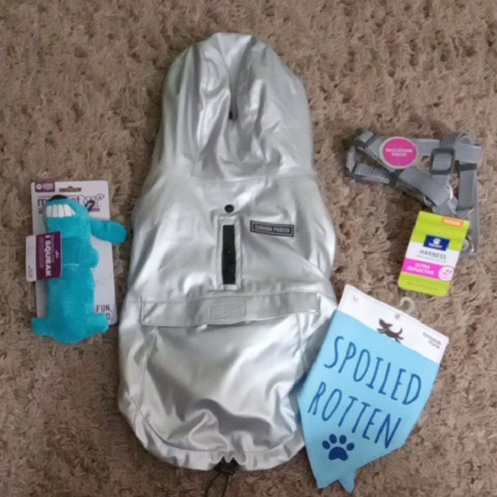 Lot Of New Dog Accessories: Jacket, Scarf, Harness And Toy